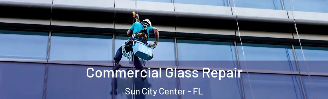Commercial Glass Repair Sun City Center - FL