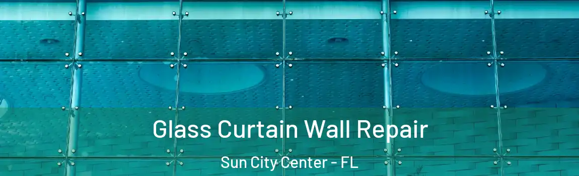 Glass Curtain Wall Repair Sun City Center - FL
